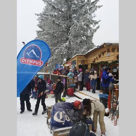 Large Vacation Apartment In Poiana Brasov Luaran gambar