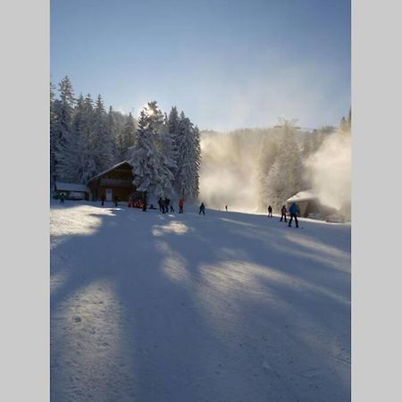Large Vacation Apartment In Poiana Brasov Luaran gambar