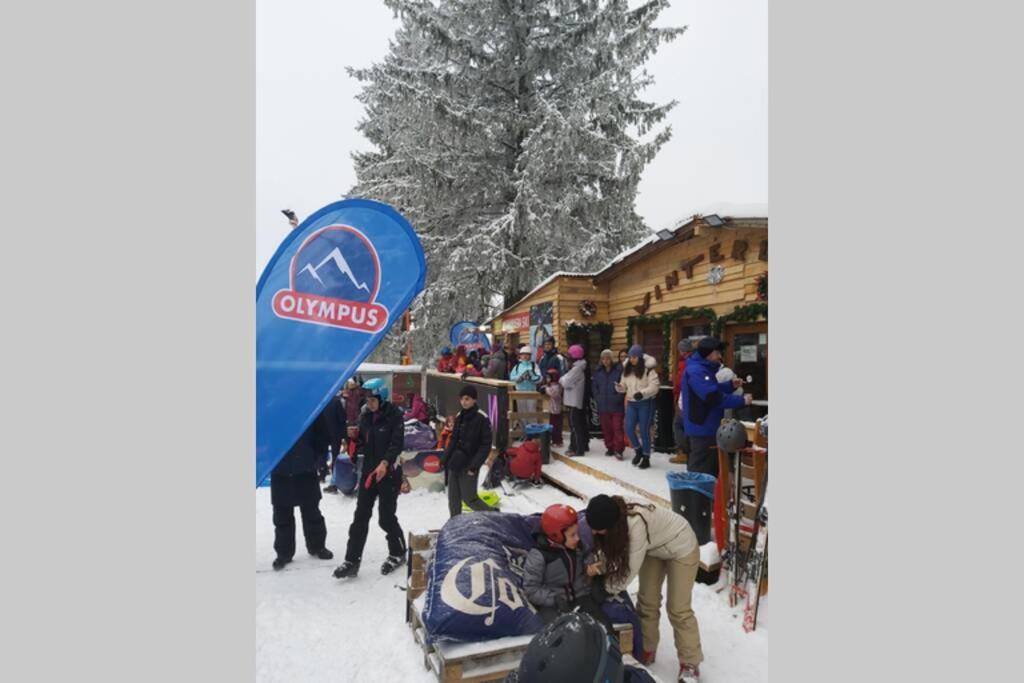 Large Vacation Apartment In Poiana Brasov Luaran gambar